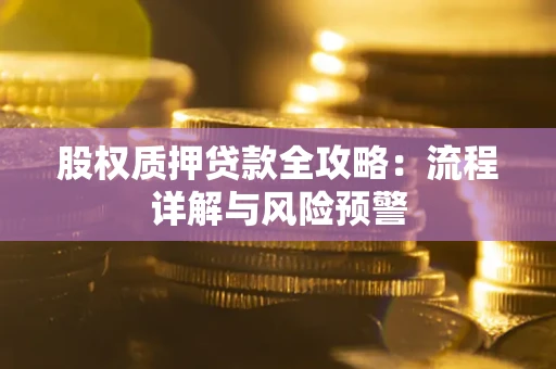 北京股权质押贷款全攻略：流程详解与风险预警