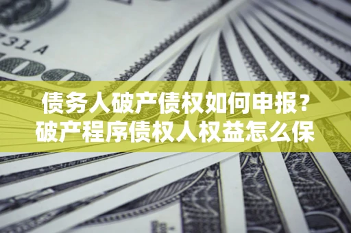 北京债务人破产债权如何申报？破产程序债权人权益怎么保障？