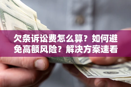 北京欠条诉讼费怎么算？如何避免高额风险？解决方案速看！
