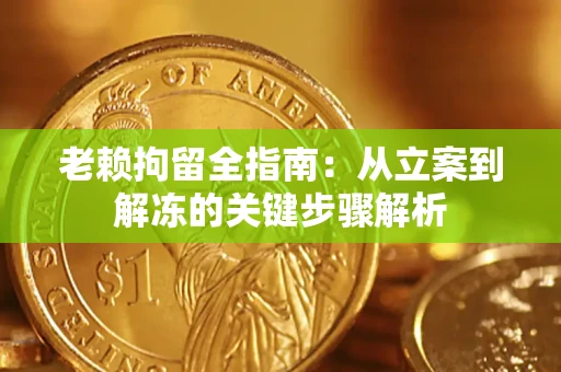 北京老赖拘留全指南：从立案到解冻的关键步骤解析