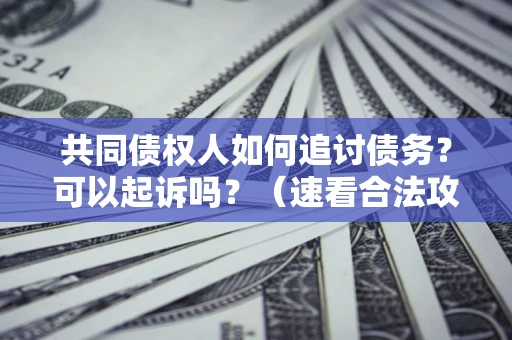 北京共同债权人如何追讨债务？可以起诉吗？（速看合法攻略）