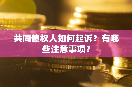北京共同债权人如何起诉？有哪些注意事项？
